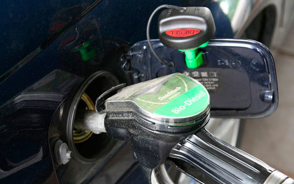 Gasolineras sin personal ¿Dan un buen servicio?