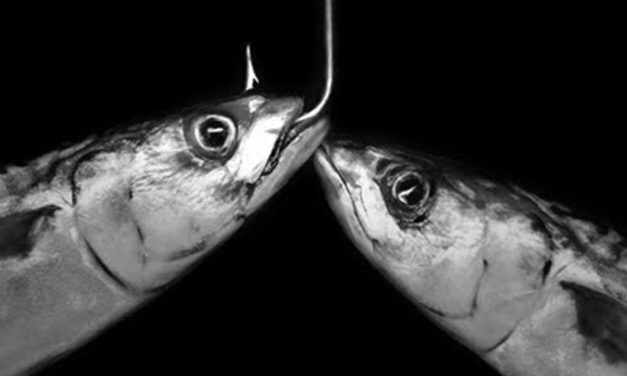 Phishing: consejos para no morder el anzuelo