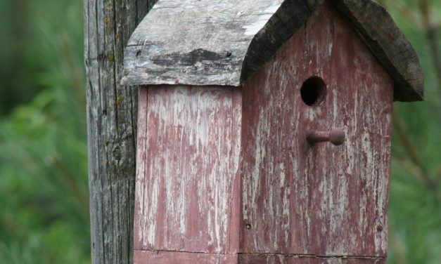 ¿Comprar vivienda o alquilar? He ahí la gran duda.