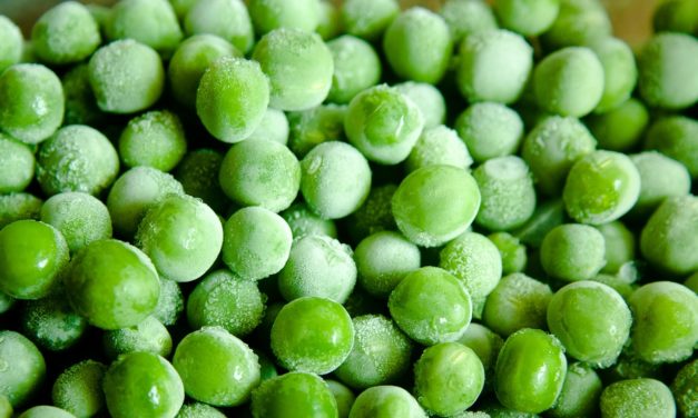 ¿Sabes sacar partido al congelador?