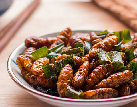 Y para comer, insectos