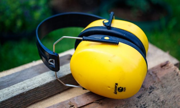 “Hay que evitar ruidos que superen los 70-80dB, porque a partir de ahí empieza a afectar al oído”