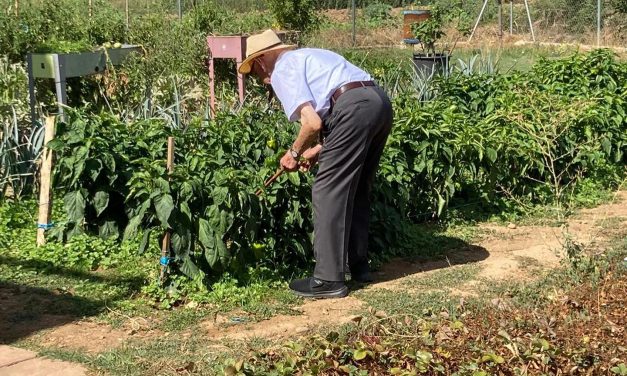 “Lo importante en una residencia es el contenido, lo que se hace en el interior”