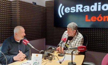 La temporada de setas se pone en marcha, pero el fuego deja una cicatriz subestimada en el ecosistema